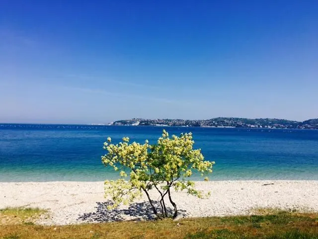 Apartment Umag Nelly 0*,